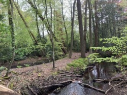 ZO 30/06/24 Natuurwandeling van Valkenberg tot Stabrechtse Heide (19,5 km) 